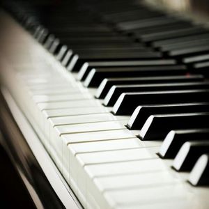 女女女女女BBBB毛片
