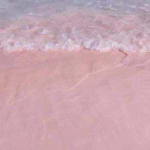 女女女女女BBBB毛片
