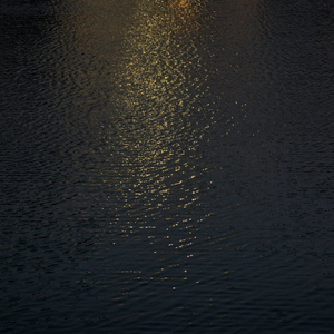 女女女女女BBBB毛片
