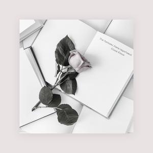 女女女女女BBBB毛片
